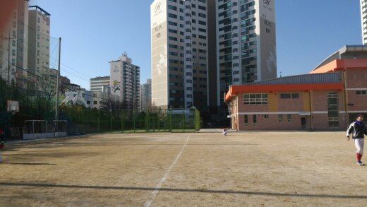 구장 이미지 1