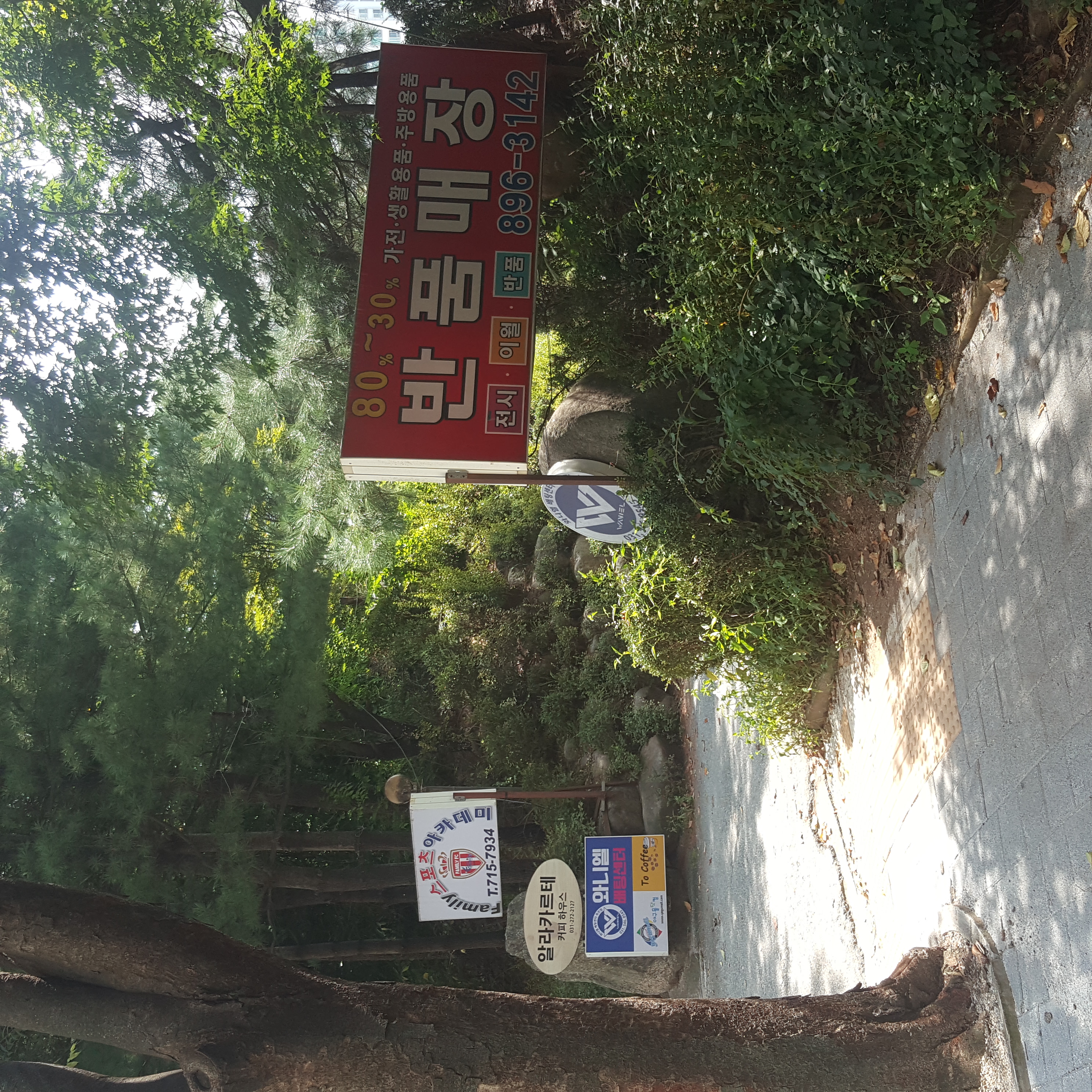 구장 이미지 5