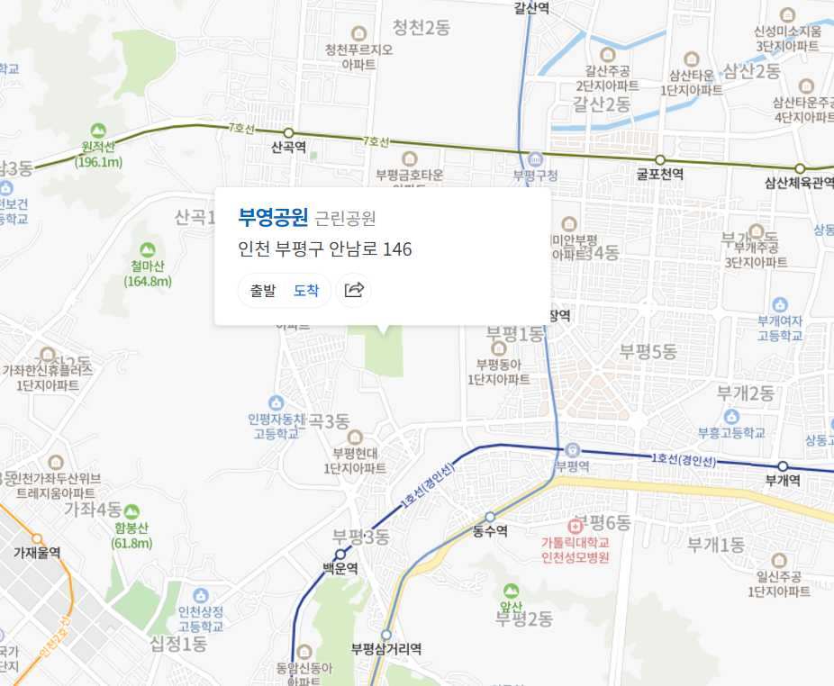 구장 이미지 2